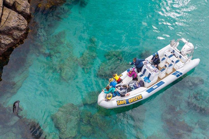 Whitianga : Cathedral Cove Thrilling Boat Tour, Cuevas & Snorkeling