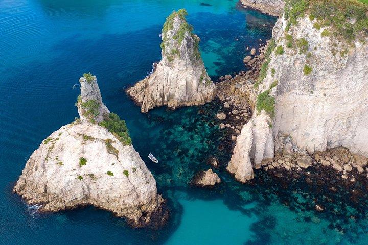 Whitianga : Cathedral Cove Thrilling Boat Tour, Cuevas & Snorkeling