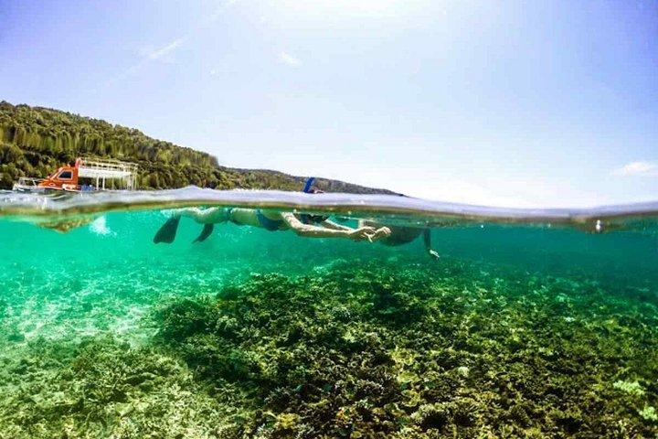 コタキナバルからの楽しいボートシュノーケリングと島の訪問