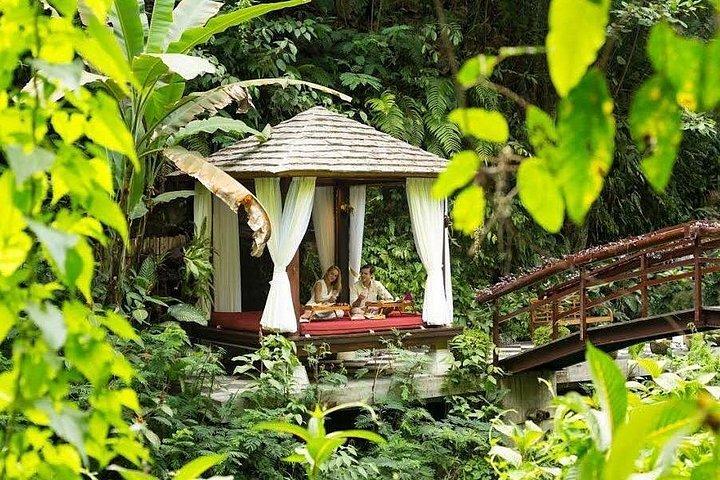 ハンギングガーデンオブバリでのロマンチックなリバーサイドピクニックランチ体験