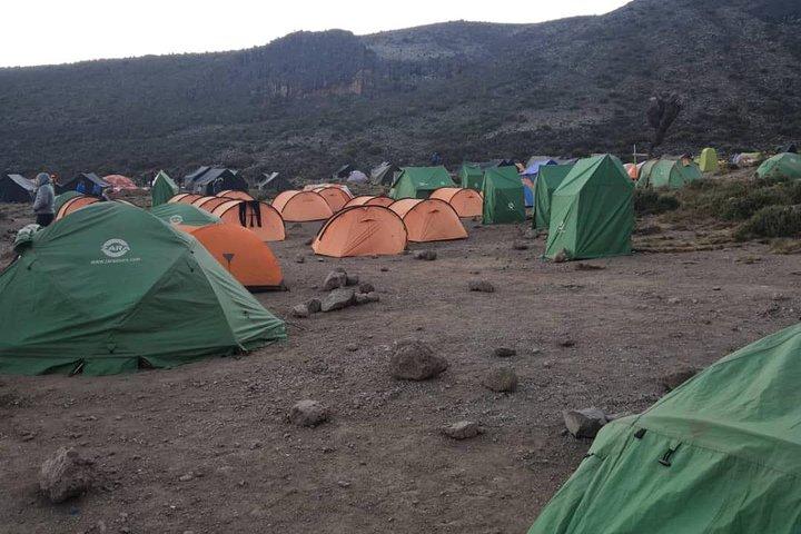 Billeder af Kilimanjaro - Machame