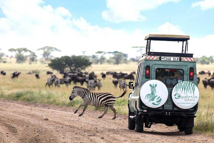 5 días 4 noches de lujo exclusivo en Tanzania Safari