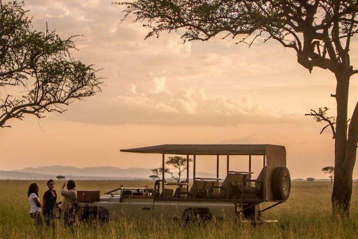5 días 4 noches de lujo exclusivo en Tanzania Safari