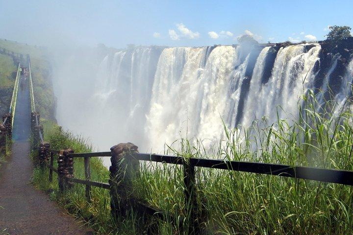 Victoria Falls heldagsoplevelse