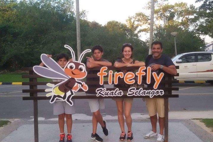 Privado: excursão Firefly de Kuala Lumpur
