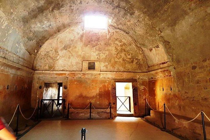 Visite guidée privée de Pompéi et d'Herculanum avec un archéologue anglophone