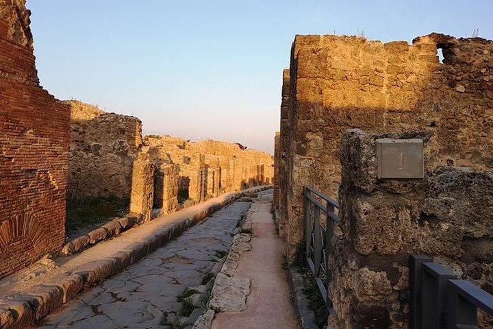 Visite guidée privée de Pompéi et d'Herculanum avec un archéologue anglophone