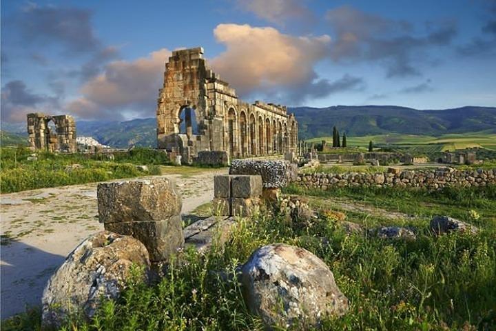 Heldagstur med en gruppe til Volubilis Moulay Idriss Meknes fra Fez
