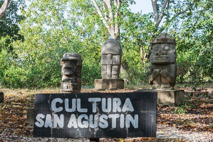La Boquilla. Rhythms, Roots & Mangroves