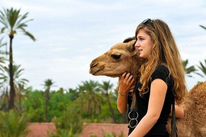 Atlasbergen och 3 dalar dagstur från Marrakech inklusive lunch och kameltur