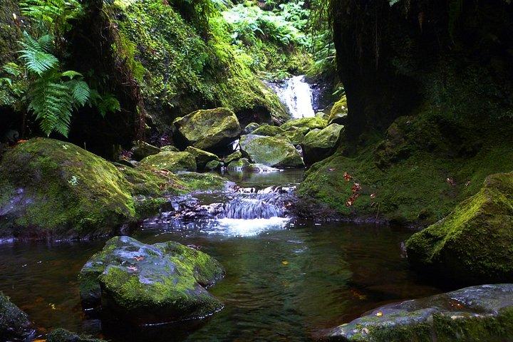 PR18 Wood Levada : Hidden Corners : The King's Levada