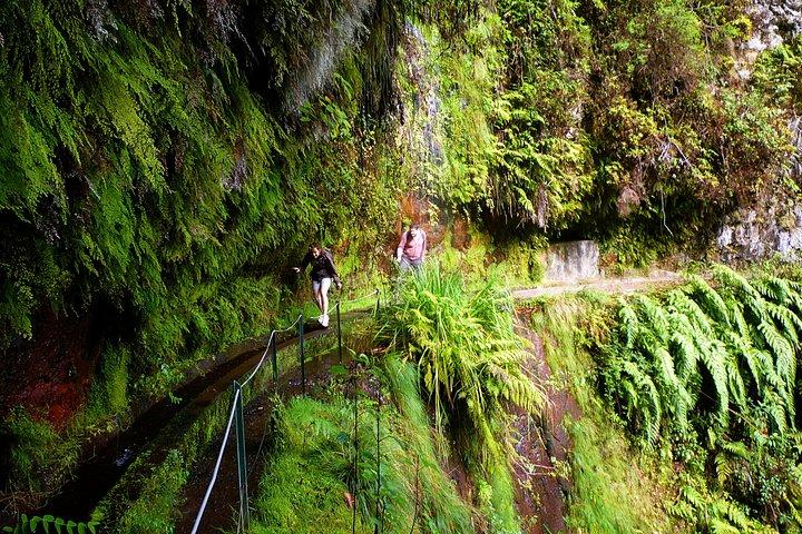 PR18 Wood Levada : Hidden Corners : The King's Levada