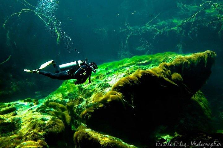 Amazing beginner dive in Tulum cenote (or refresher dive)