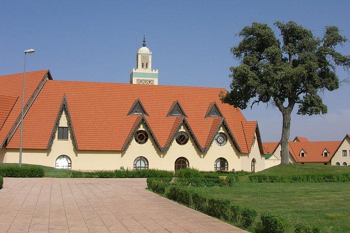 Tour privato da Marrakech a Merzouga Dunes e Fez