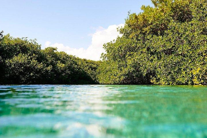 Amazing beginner dive in Tulum cenote (or refresher dive)