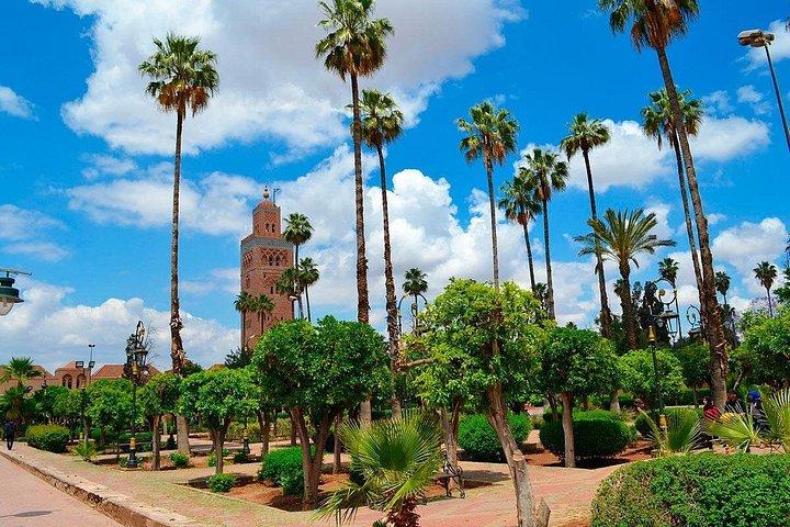 Tour privato: tour di mezza giornata a Marrakech