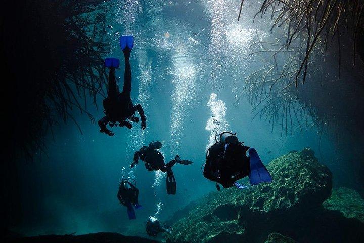 2 cenote-divings (inclusief een diepe duik) voor gevorderde duikers in Tulum