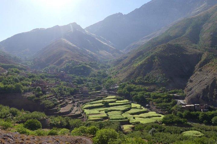 アトラス山脈と 3 つの谷と滝 : マラケシュからのガイド付き日帰り旅行