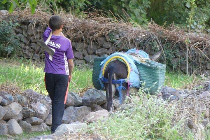 アトラス山脈と 3 つの谷と滝 : マラケシュからのガイド付き日帰り旅行