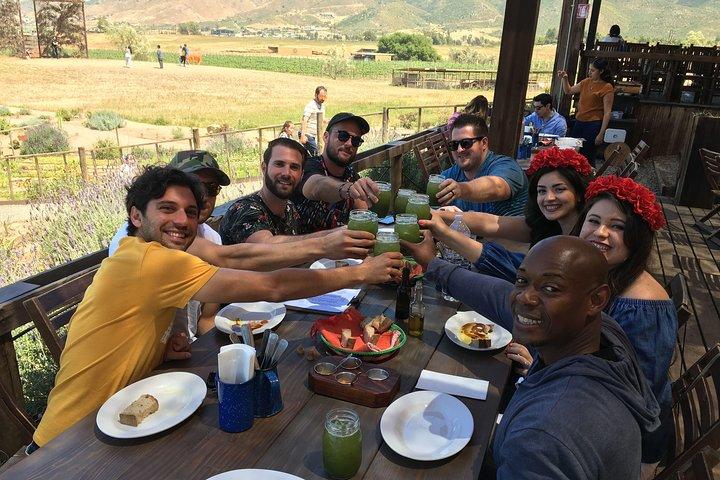 Tour privato di degustazione di vini di lusso nella valle di Guadalupe da San Diego