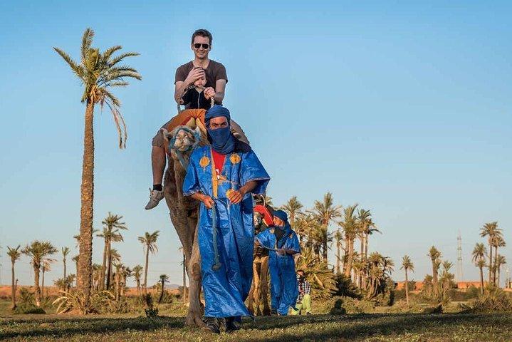 Pack Camel ride 1 Hour and Quad bike 2 Hours a Marrakech
