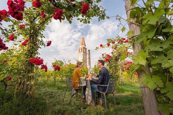 NOVEDAD : Excursión y cata de vinos de Venecia nativa