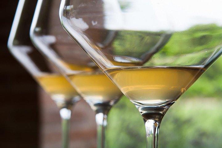 NOVO : Native Venice Wine Experience Tour e Degustação