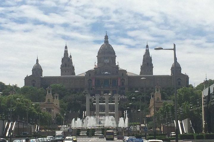 Barcelona Half-day Tour With Local Driver-guide