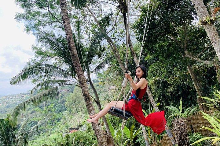 Ubud Water Temple Waterfall Waterrace Swing Visite guidée privée