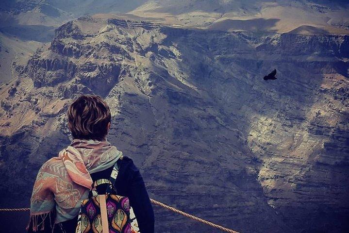Tour di osservazione Condor (disponibile solo da novembre ad aprile).