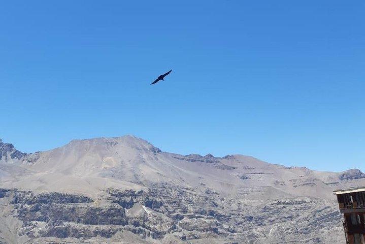 Tour di osservazione Condor (disponibile solo da novembre ad aprile).