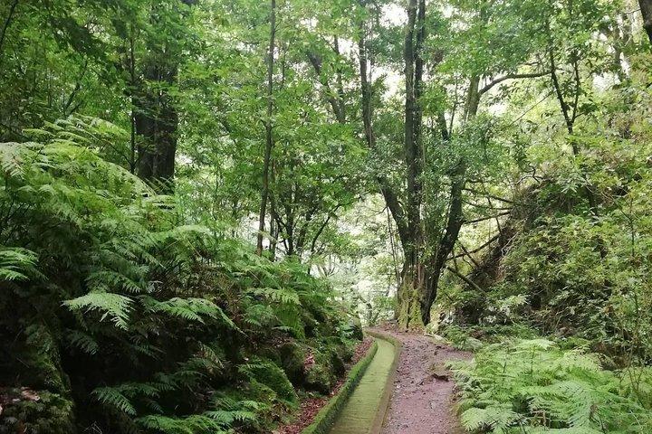 Kings Levada - São Jorge