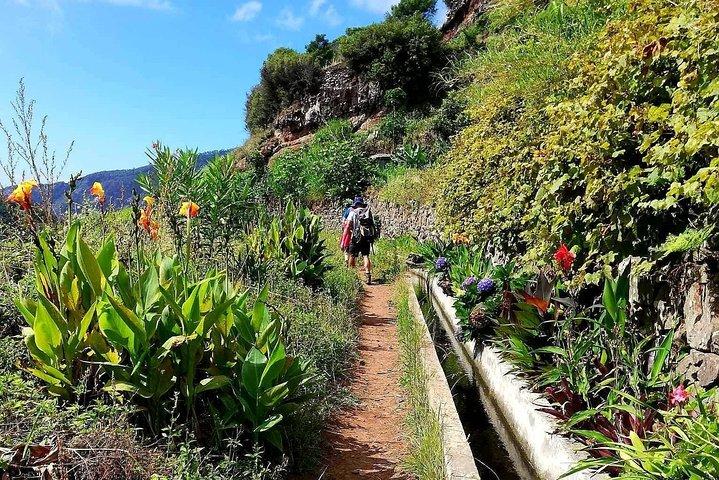 Levada Serra D'Agua