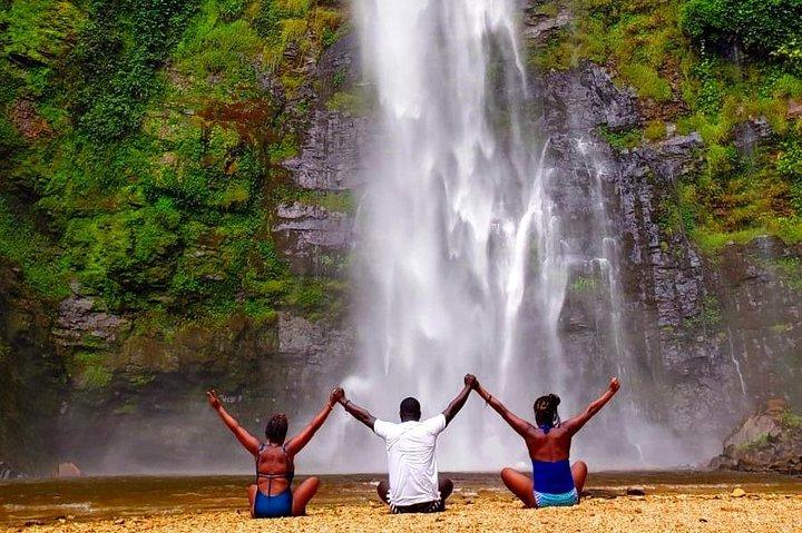 Explore Wli Waterfalls, Mountain Afadjato & Tafi Atome Monkey Sanctuary