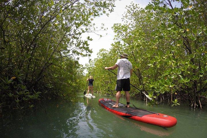 Mangue SUP Tour Phuket