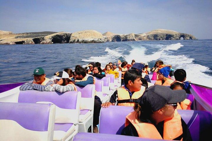 Paracas Fullday - Islas Ballestas y Nationalpark à Minibuggy
