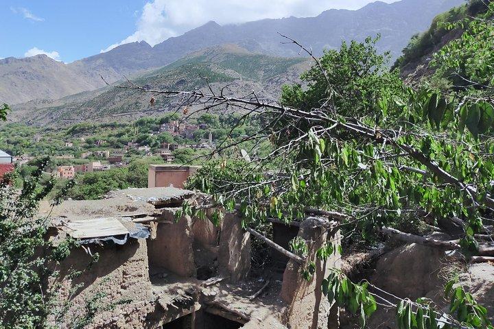Private Day Trip da Marrakech: Camel Ride and Hike nelle montagne dell'Alto Atlante