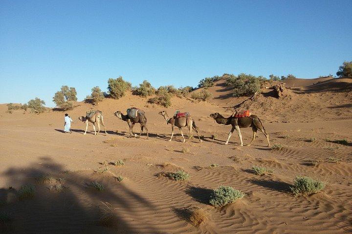 Marrakech - Erg Chegaga 4 giorni / 3 notti Escursione nel deserto e tour in cammello