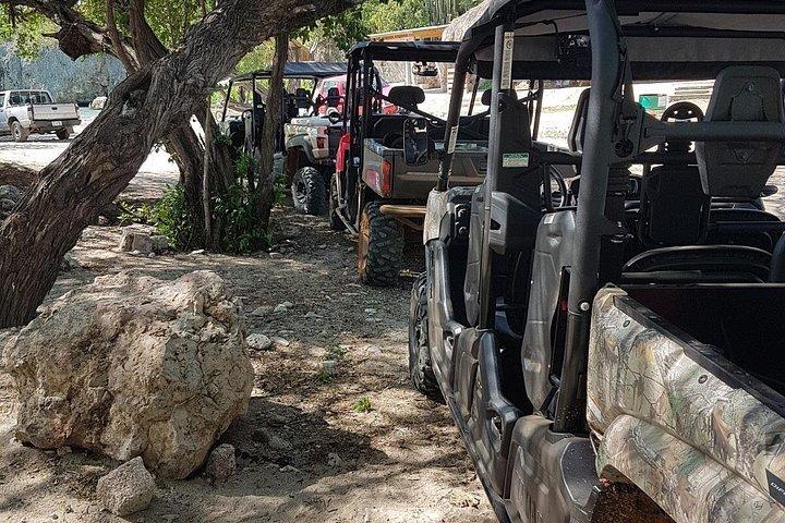 Buggy Tours in Curacao