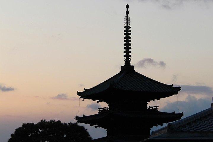 本物の京都茶道：Camの花茶屋