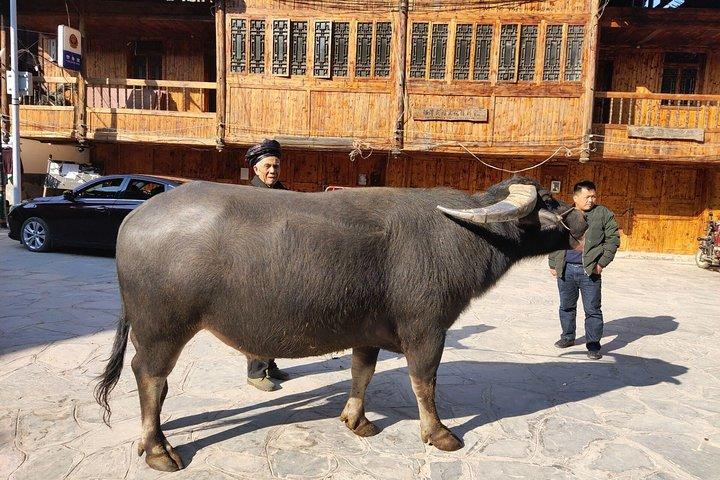 9-tägige private Tour: Von Guilin über Süd-Guizhou nach Zhangjiajie