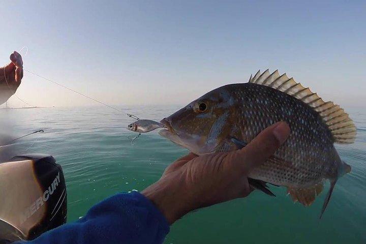 Pesca Guiada na Baía da Cidade do Kuwait em Barco Privado