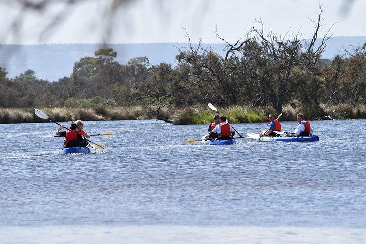 Perth Kayak Tour - Humedales del río Canning