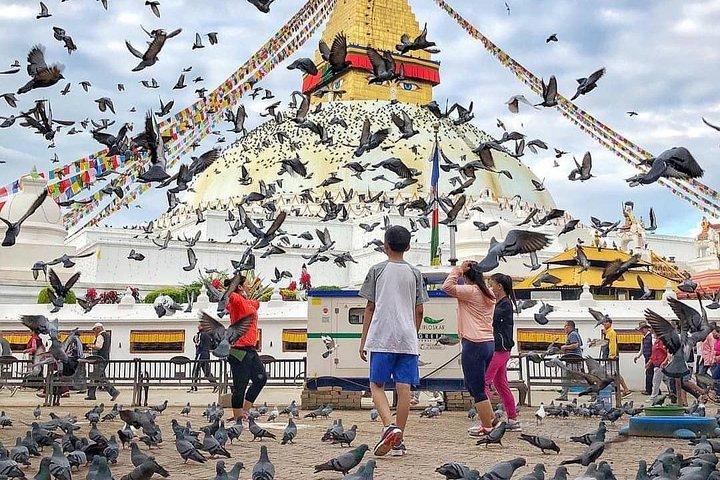 プライベートデイツアー：世界遺産ボダナート仏塔とパシュパティナート寺院
