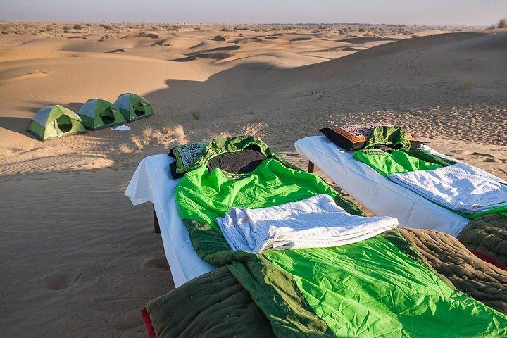 Werden Sie ein Wüstennomad - Kamelsafari über Nacht in freier Wildbahn