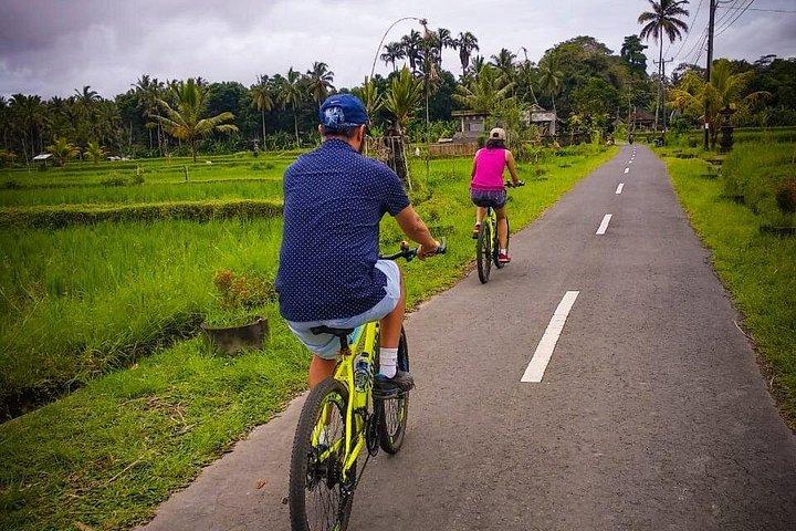 Full Day - Ubud Cycling & White Water Rafting with Complementary Lunch