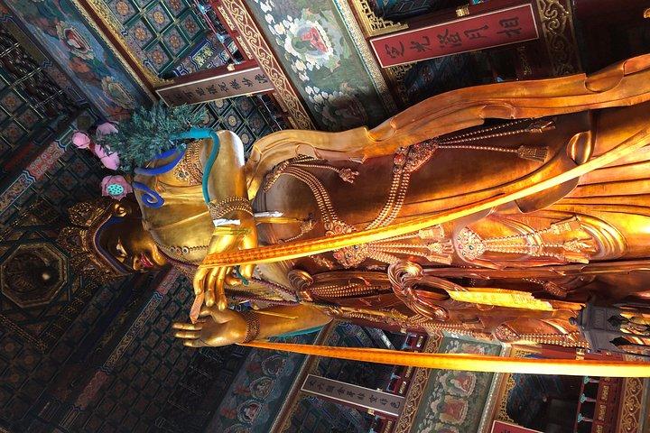 Beijing Half Day Private Tour : Lama Temple, Confucius Temple, WuDaoYing Hutong
