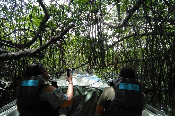 ベントータのSouthern Srilanka Galleへのプライベート日帰り旅行