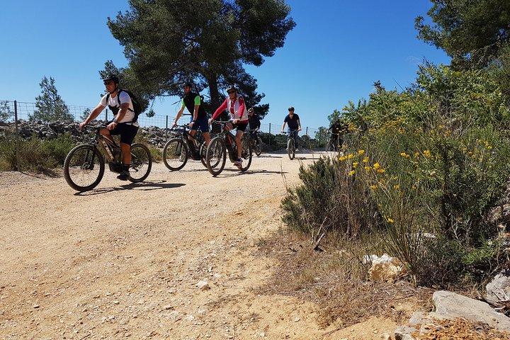 Tour privado en bicicleta eléctrica a Calanques o ciudad.