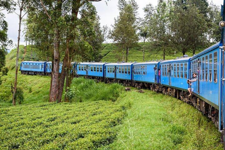 4 dages tur til Kandy, Sigiriya & Nuwara Eliya